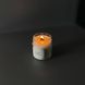 Соєва свічка 210 мл Чорниця з Льодом до 40 годин горіння 550 фото 1